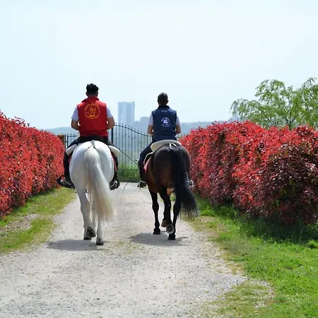 Farm stay Vento Barocco - Equitazione E Turismo *