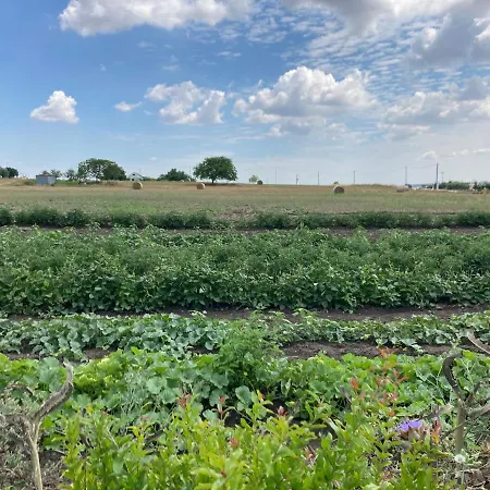 בית חווה Vento Barocco - Equitazione E Turismo *